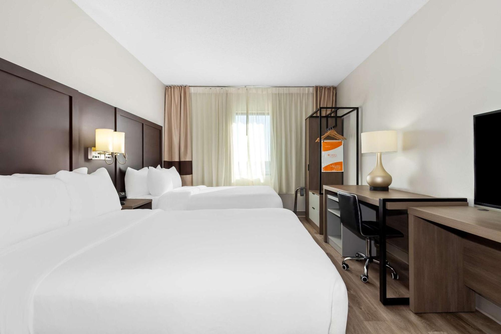 למברטון Comfort Suites מראה חיצוני תמונה